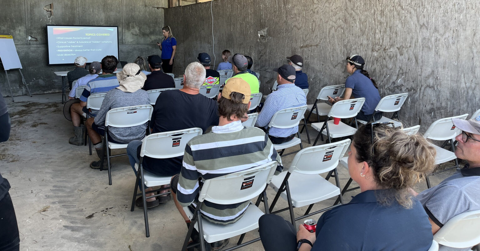 E-diary notices: 30 January 2026