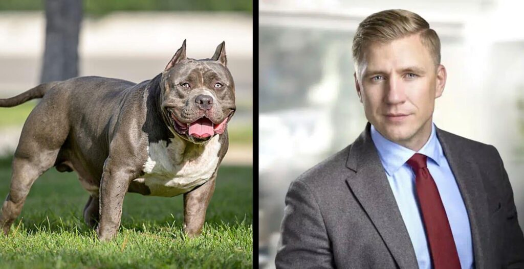 M member: "These dogs need to be banned"