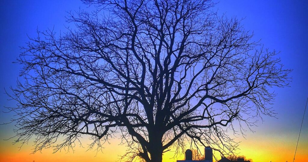 With climate change, we must reject distractions of fatalism and denialism [column] | Local Voices