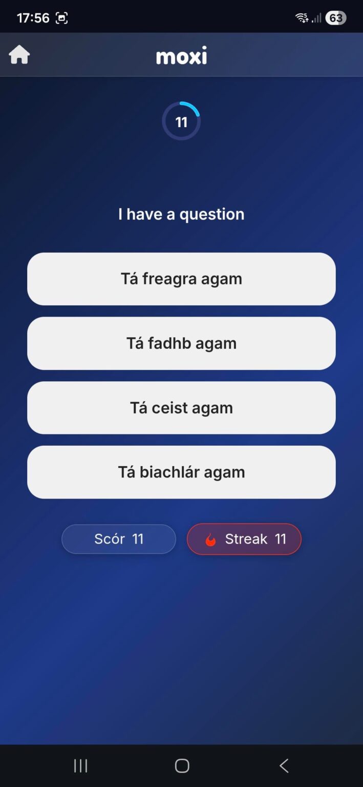 Irish Language Game