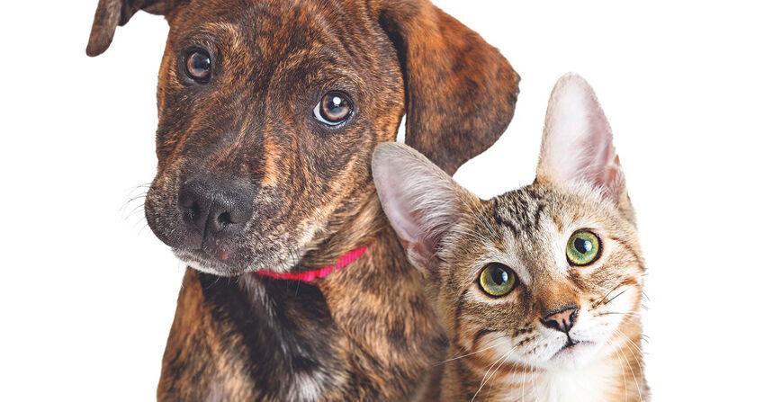 Good Times | Entertainment in Citrus County