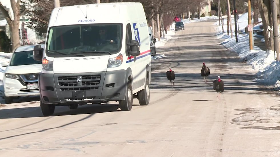 “It’s more of a rarity than it is common,” Cotter said.