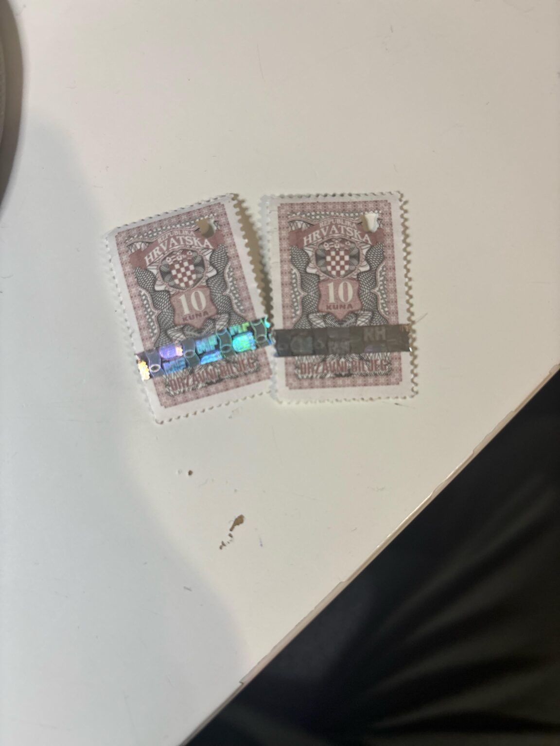 Anyone know what these are