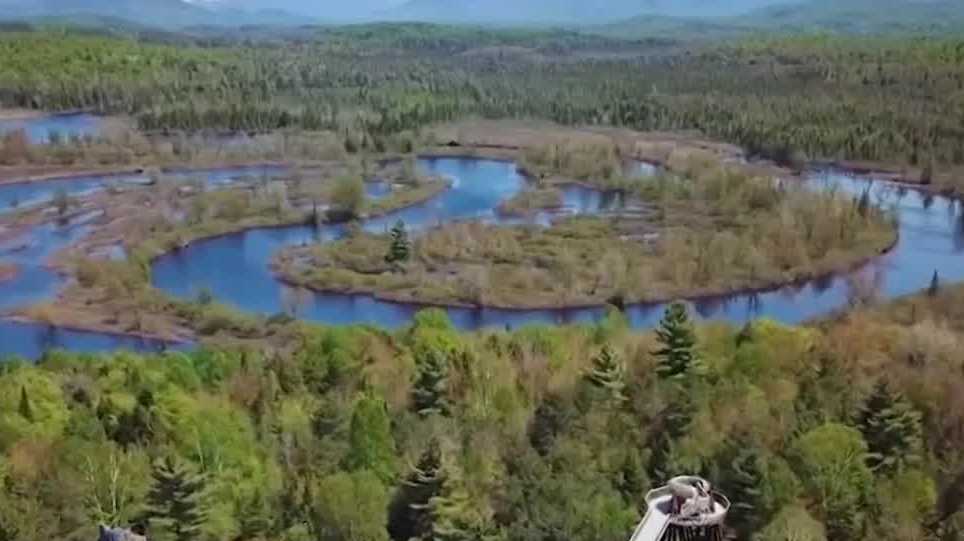 The Wild Center nominated once again for Best Science Museum
