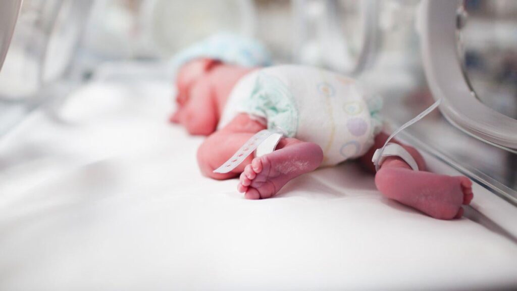 Zaïd, the first baby born in Avignon in 2026, targeted by dozens of abject messages on social networks