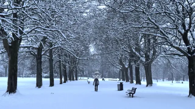 A person dressed in black walks through a park between two rows of tall trees covered in fresh white snow. There is also snow covering the whole ground and lining the bench and bin in the park