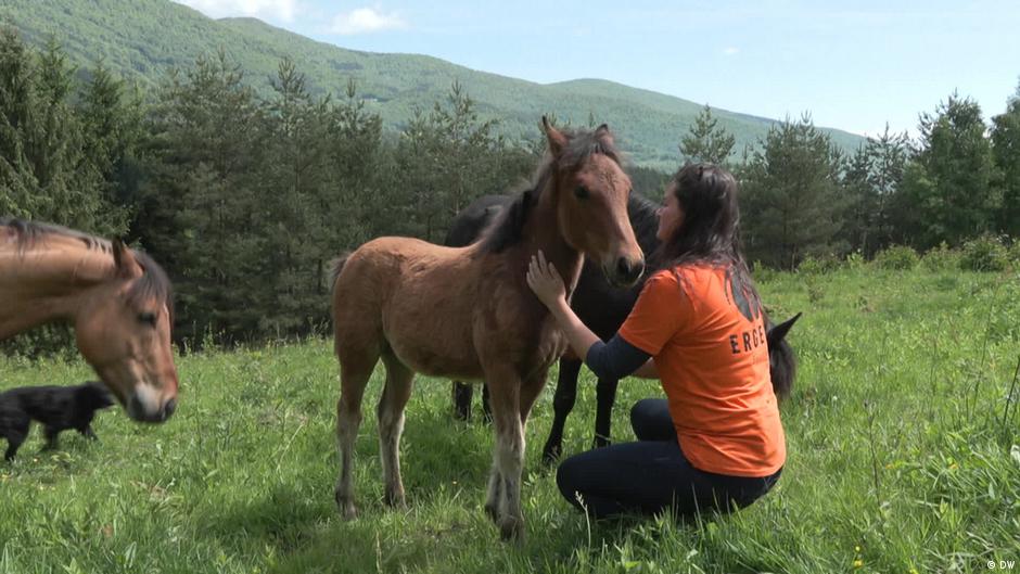 Bosnia and Herzegovina: The horse whisperer