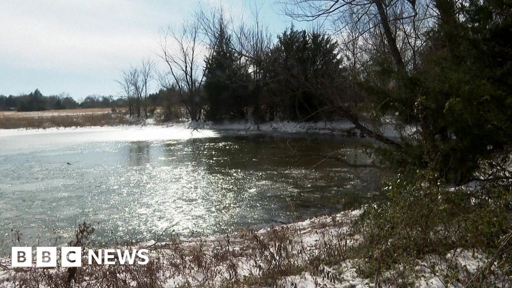 Three brothers die after falling in frozen Texas pond – BBC Three brothers die after falling in frozen Texas pond - BBC