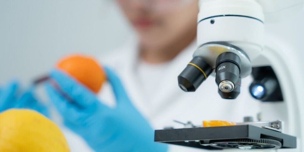 France to block South American imports over banned chemicals France to block South American imports over banned chemicals