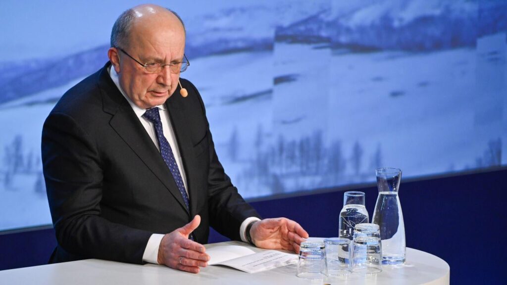 The EU Commissioner for Defense proposes the creation of a European Security Council