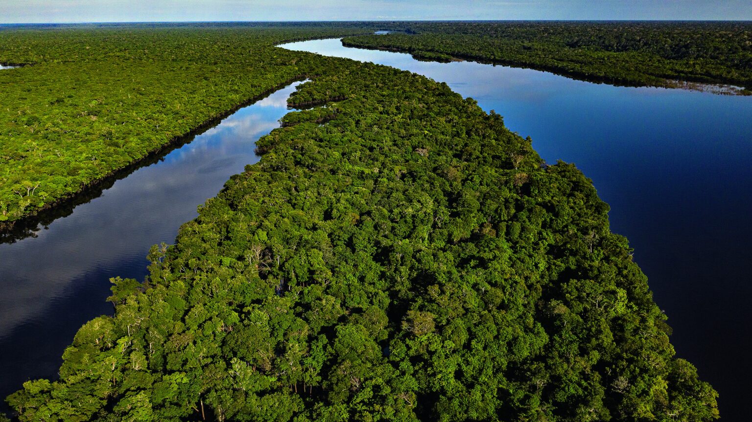 As the Amazon nears a tipping point, improving readiness could be our only way back