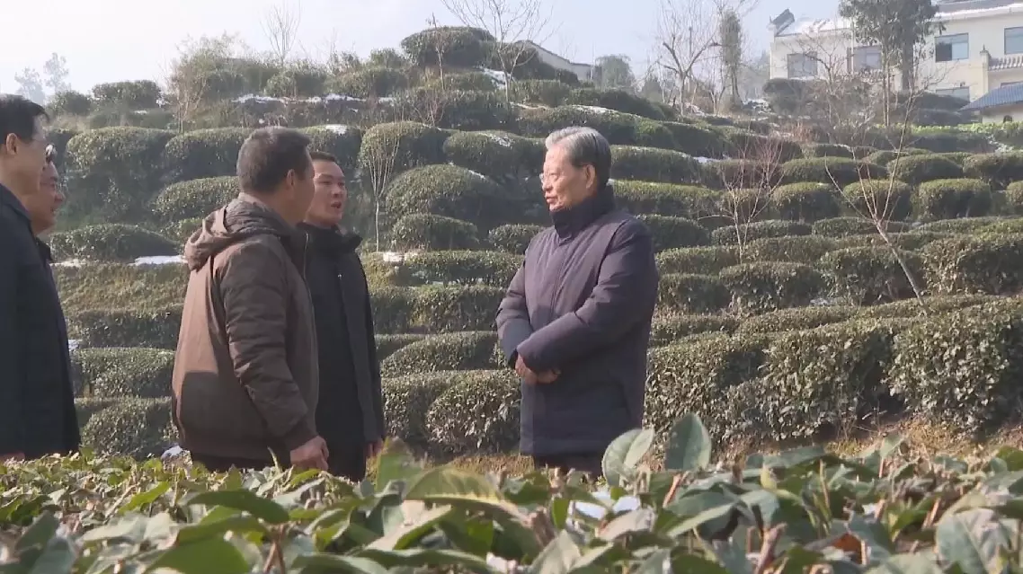Top legislator makes investigation, research tour in central China's Hubei