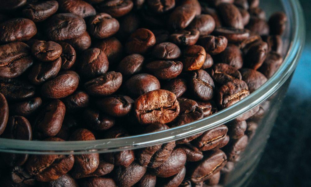 After the Trans Musicales, the RN proposes to eliminate Arabica coffee