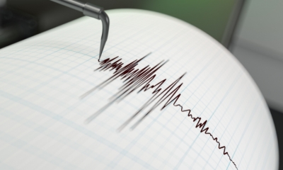 Minor Earthquake Recorded in Montenegro, Tremors Felt in Southern Dalmatia