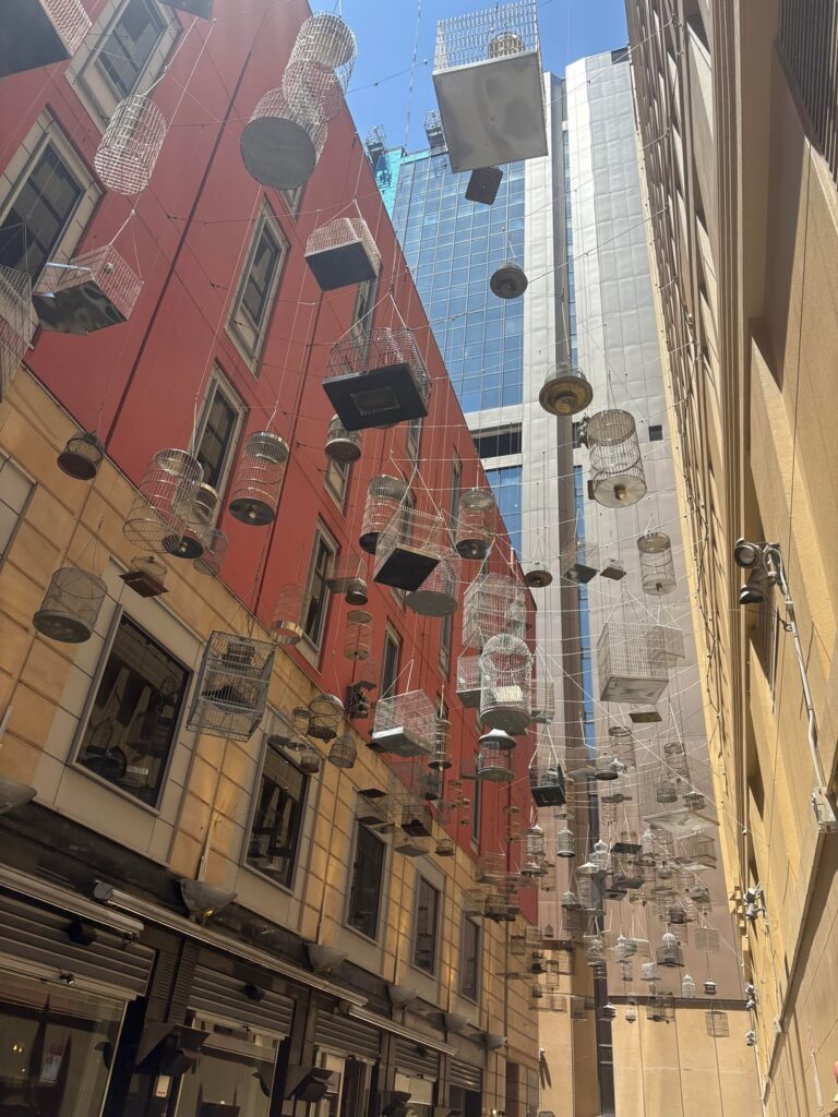 Lunch time walks along north George Street