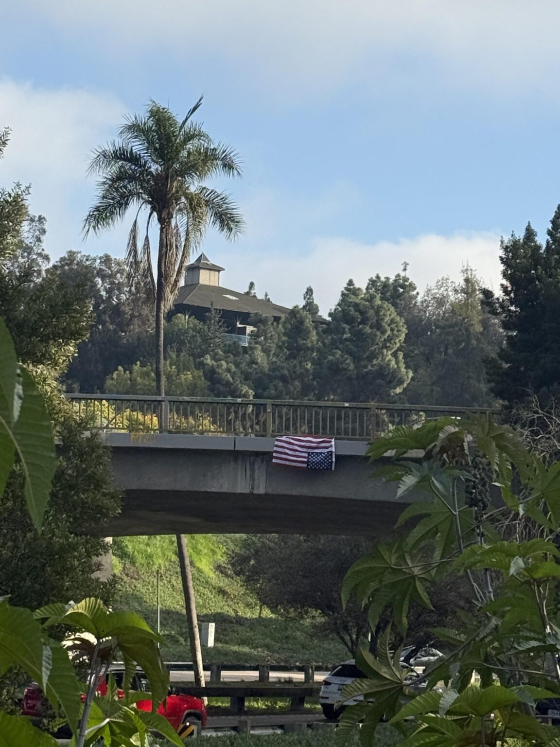Flag spotted on 163 headed into downtown San Diego in Protest