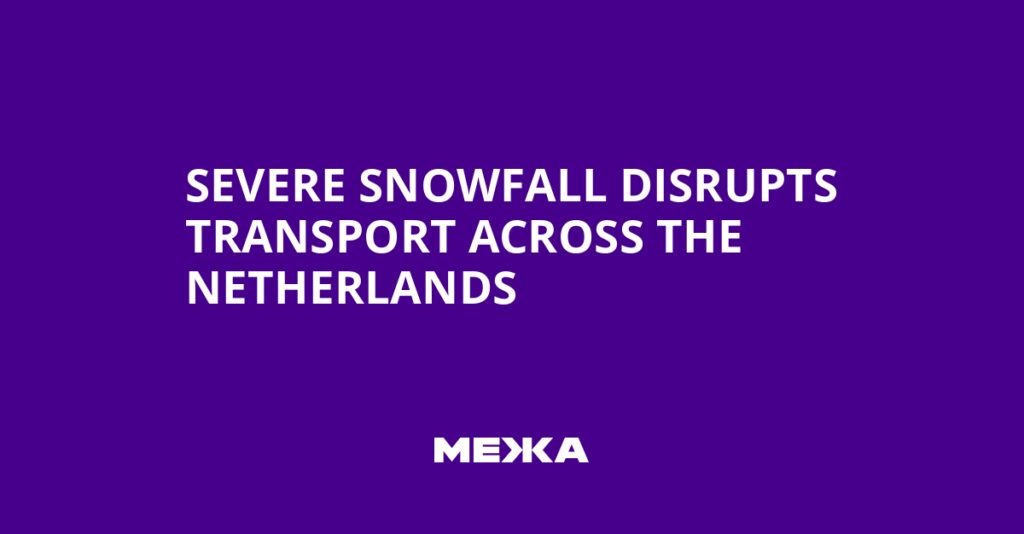 Severe Snowfall Disrupts Transport Across the Netherlands | Ukraine news