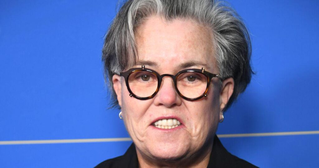 Rosie O'Donnell predicts ICE's ultimate goal is to 'close the elections in November': shared her fears over the midterm elections as she expressed her desire to see President Trump and ICE lose any power they have in the US