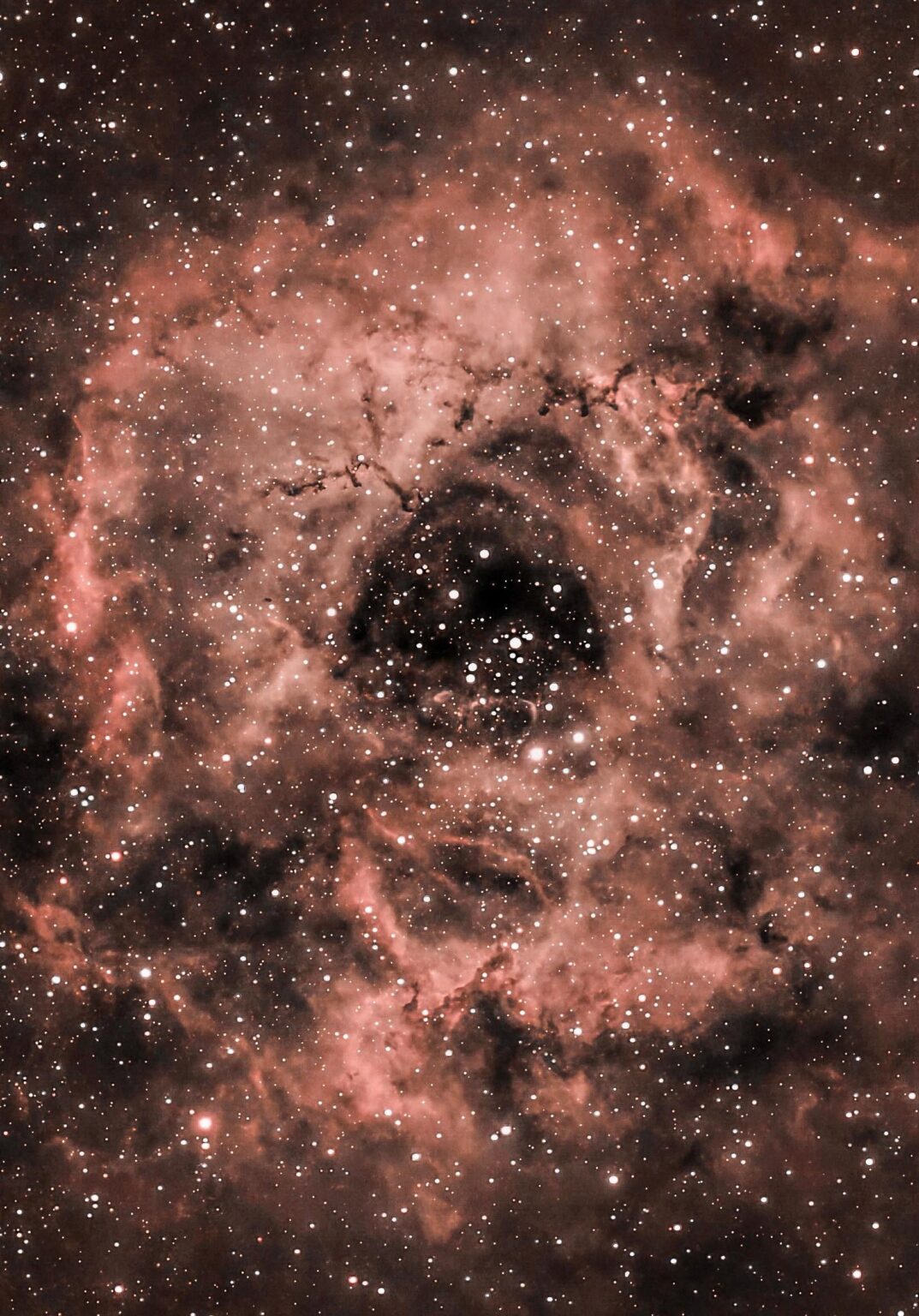Tonight's Mosaic Of The Rosette Nebula.