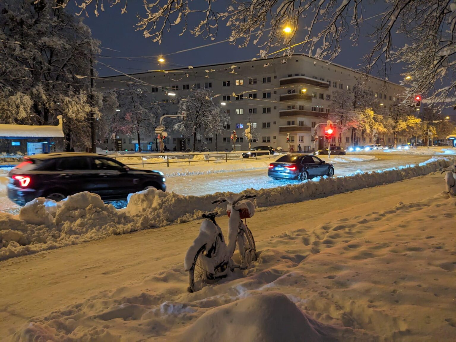 Fucking Tomasevic (description)