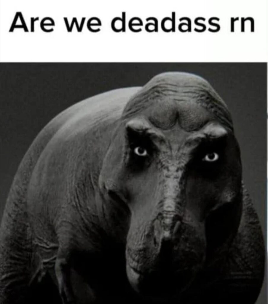 What is your favorite meme that you have saved?