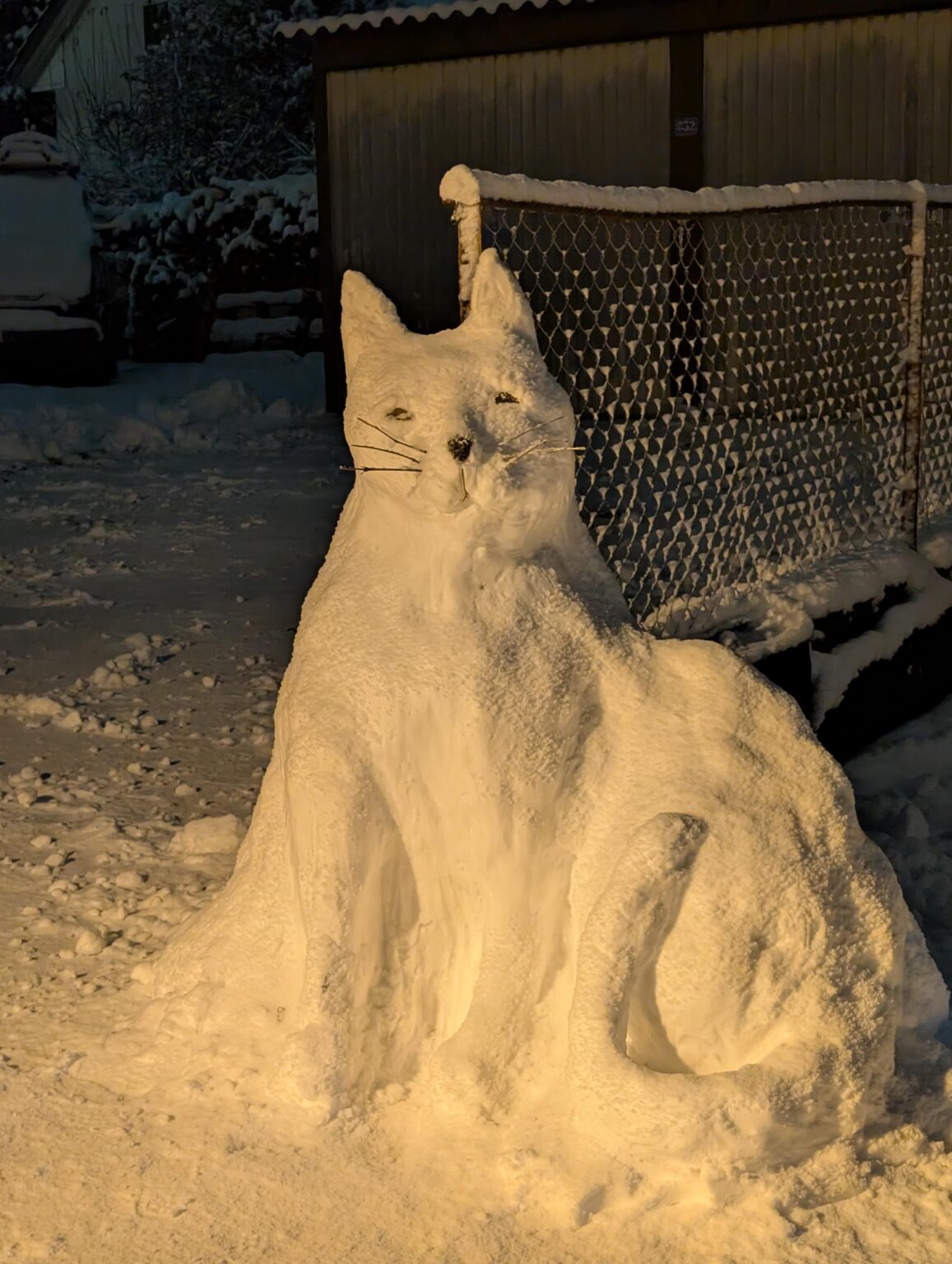My neighbors made a snowcat