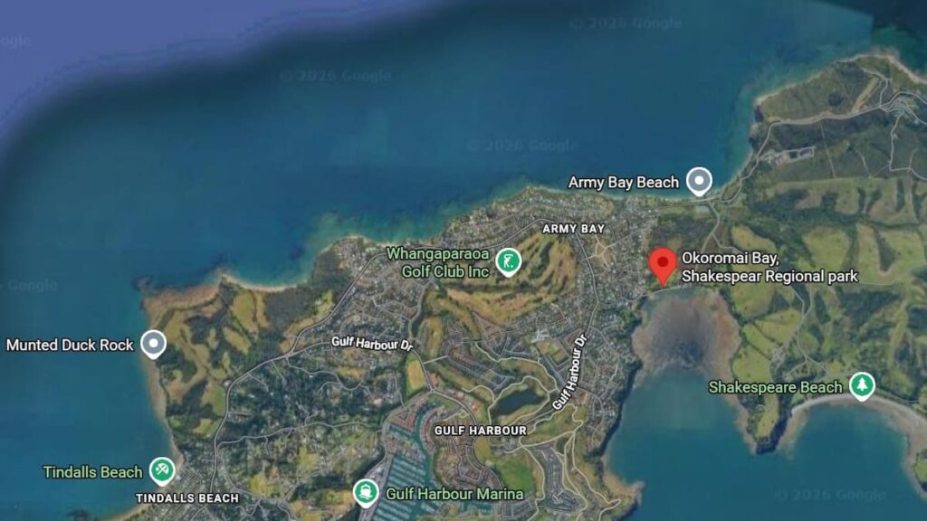 Army bomb squad called to Auckland beach after dangerous device spotted in water
