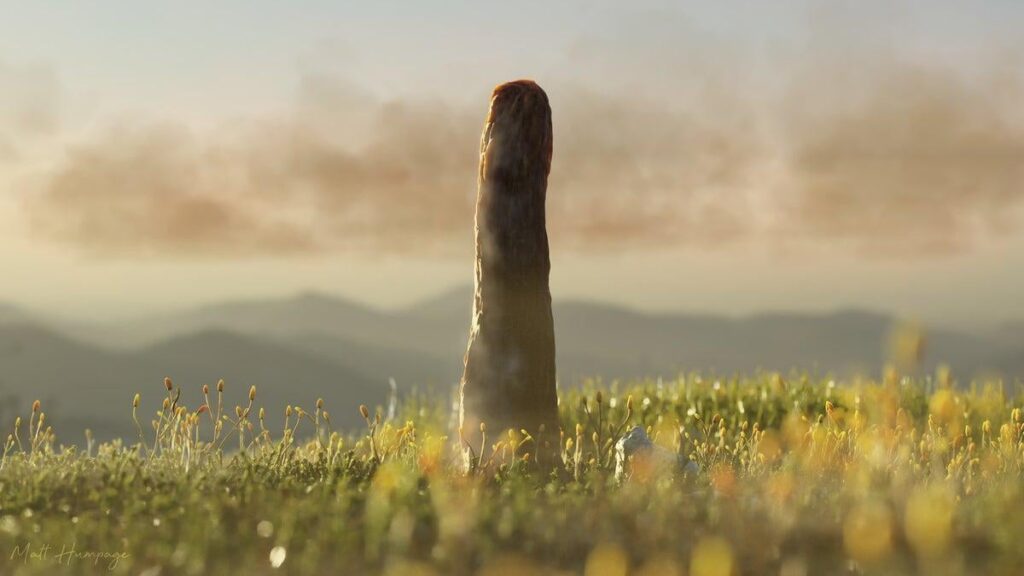 Mystery tower fossils may be a whole new kind of life