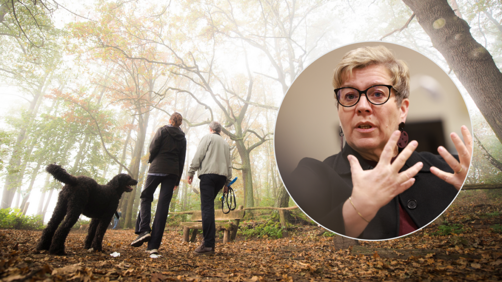 The pilot project will be trialled for a year