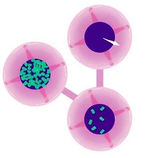 CD14+ Urothelial Cancer Cells Promote Metastatic Neutrophil Environment