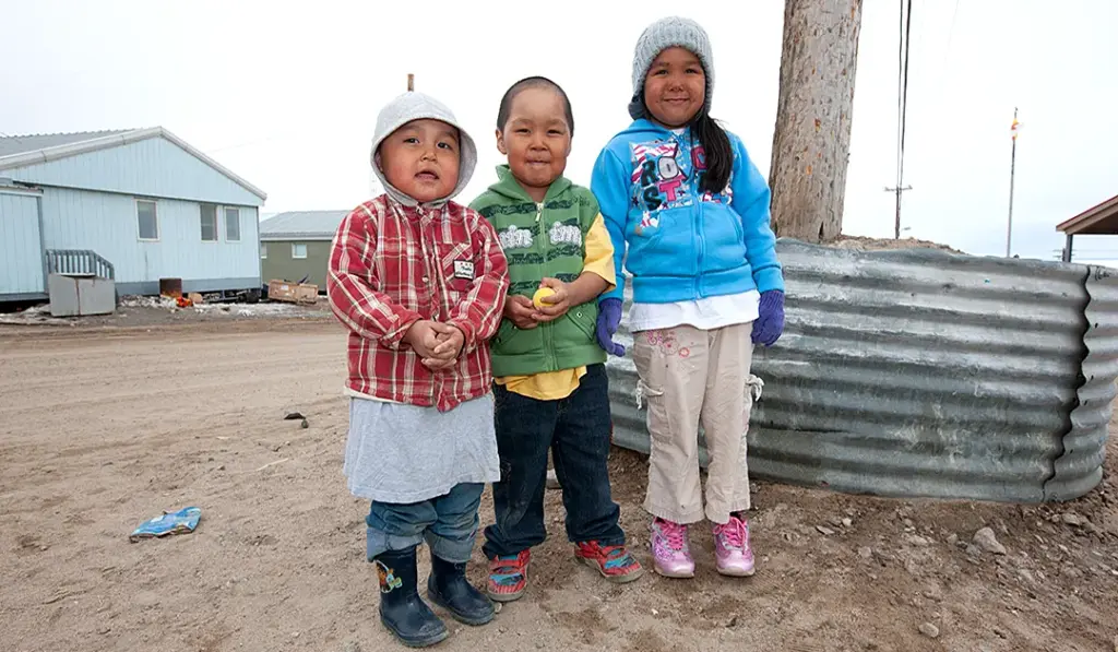 Environmental and Climate Problems in the Arctic