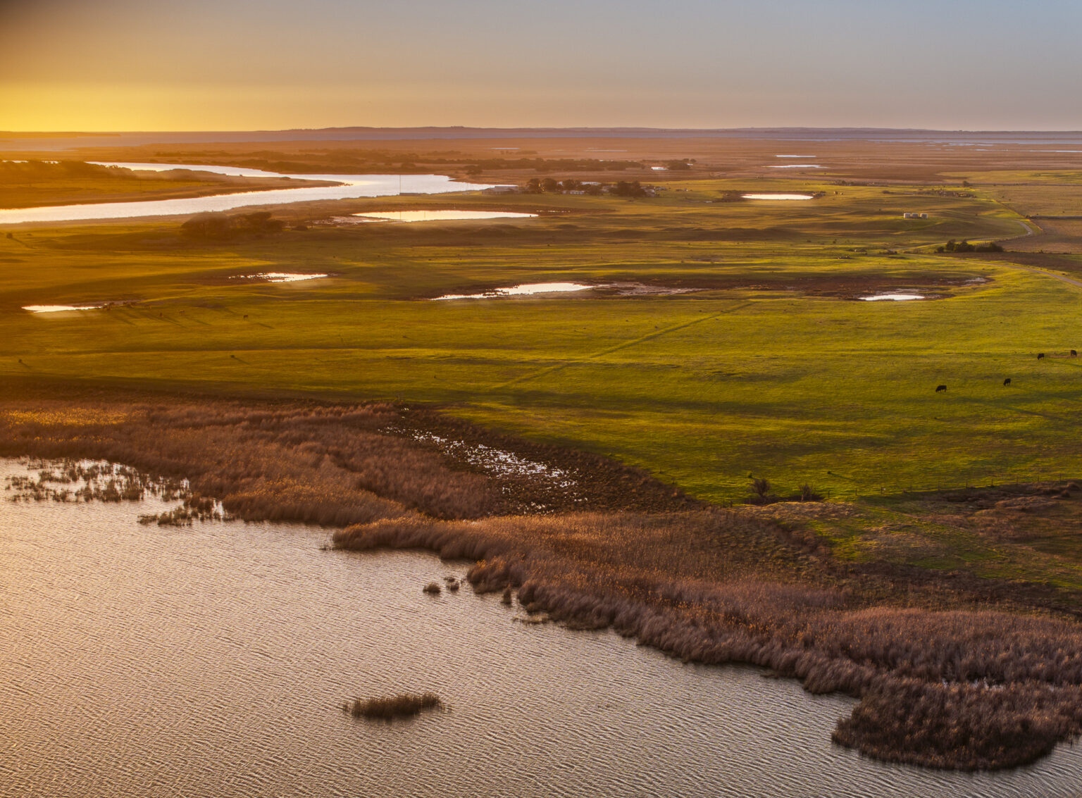 Department for Environment and Water Department for Environment and Water