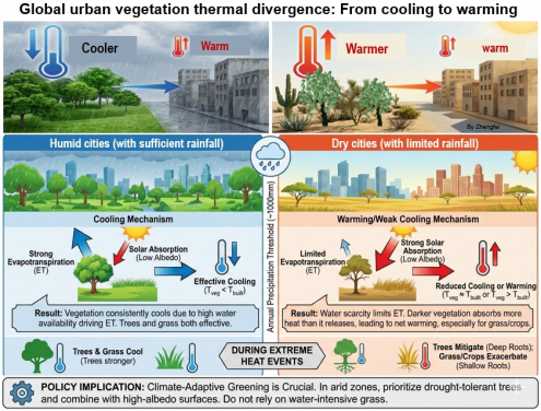HKU Study Uncovers Warming Paradox in Urban Greenery HKU Geography Research Reveals the