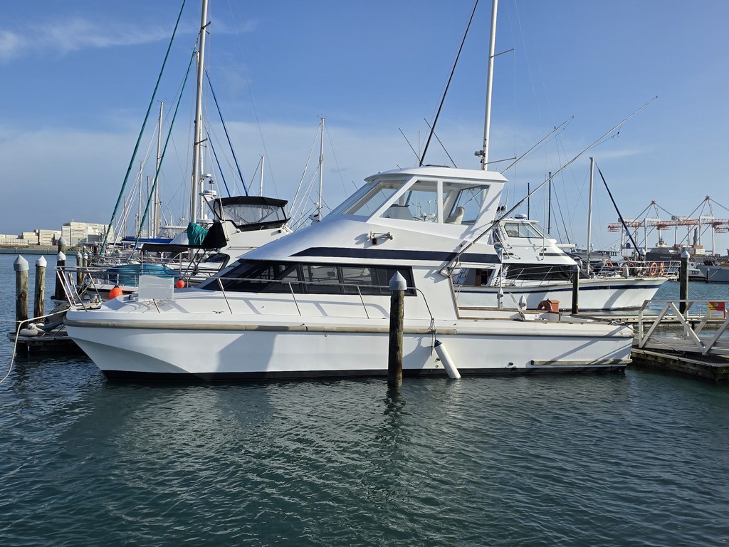 Cougar Cat 13m (1996)