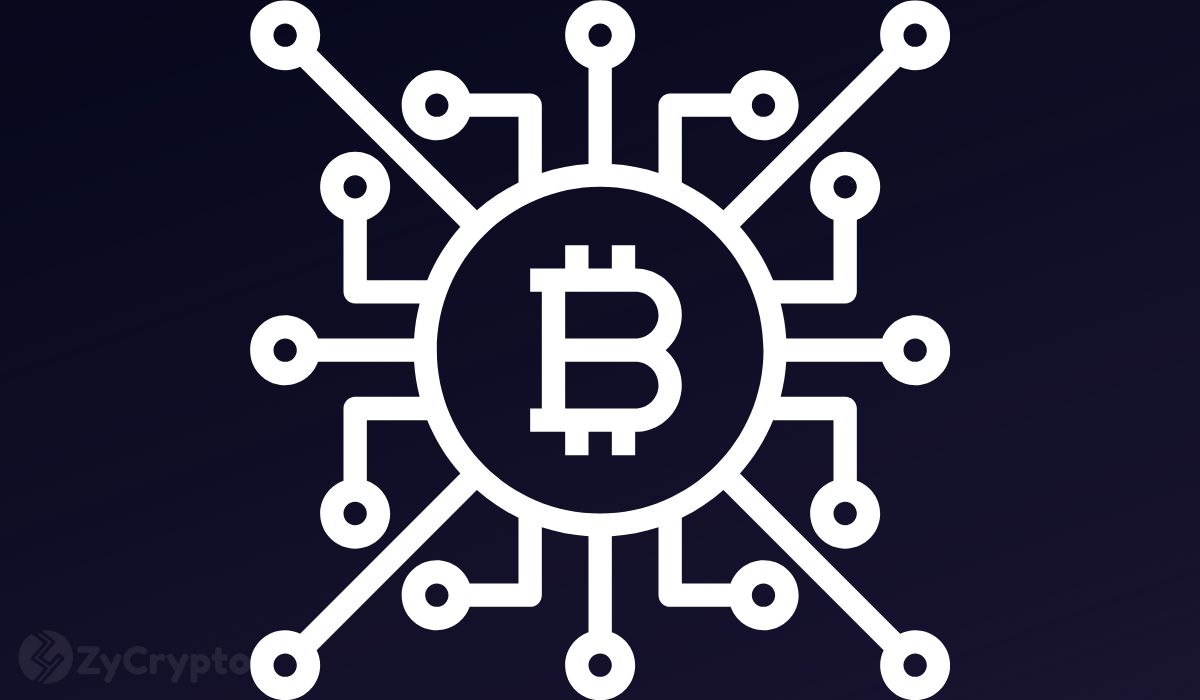 Crypto Market Player Reveals How Much Bitcoin is Needed for Retirement Crypto Market Player Reveals How Much Bitcoin is Needed for Retirement