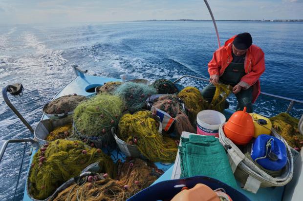 Gaitanos collects fish from nets off the coast of Larnaca, Cyprus