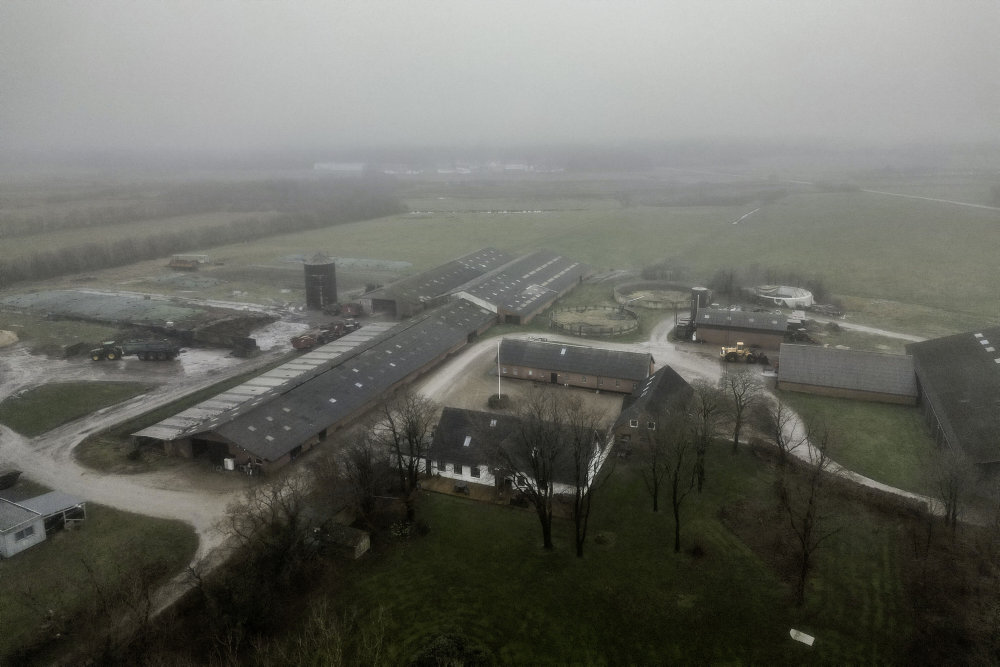 More internationals convicted of serious crimes to be expelled from Denmark