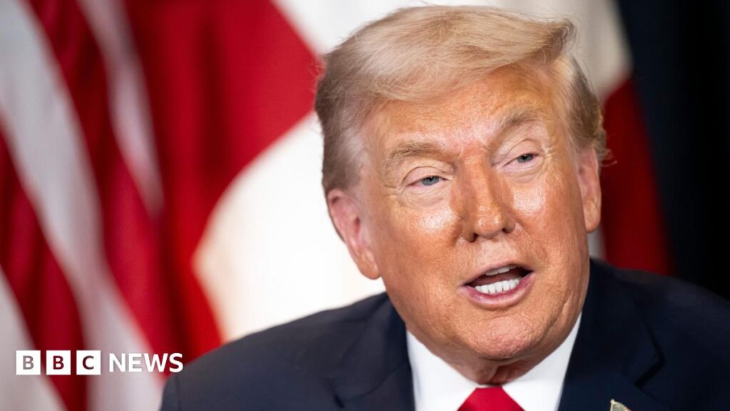 Trump sparks anger with claim Nato troops avoided Afghanistan front line