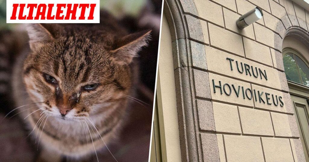 Employer Fires Worker Who Took Sickleave for Cats Death, Employer Sentenced to Compensations ( article in Finnish )