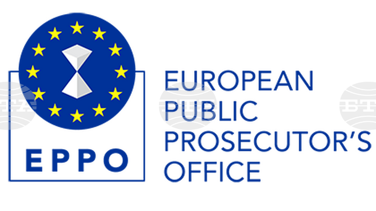 Government Approves Three Candidates for European Prosecutor from Bulgaria