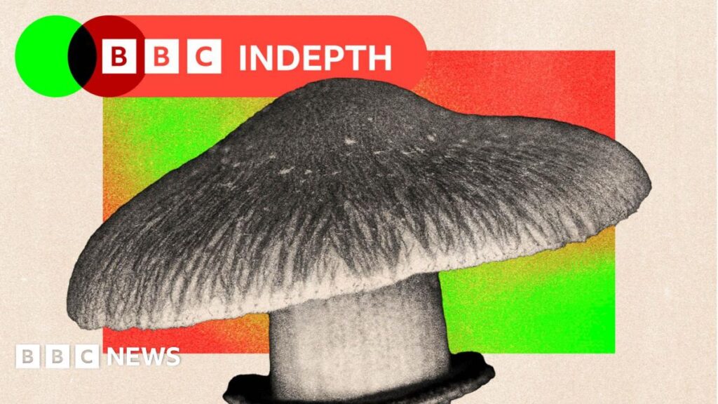 Should the NHS really use magic mushrooms to treat mental health?