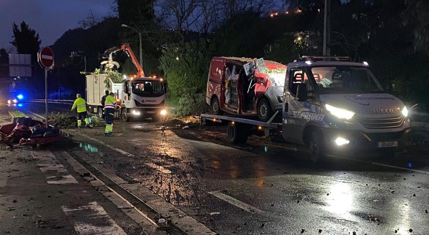 Depression Kristin. The evolution of bad weather in Portugal by the minute