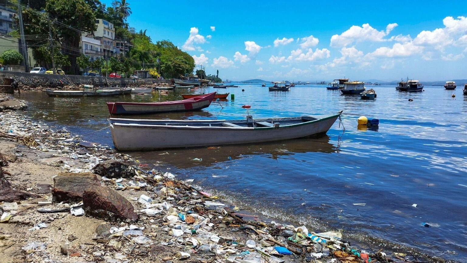 Breakthrough Study Explores Energy Recovery from Coastal Plastic Waste