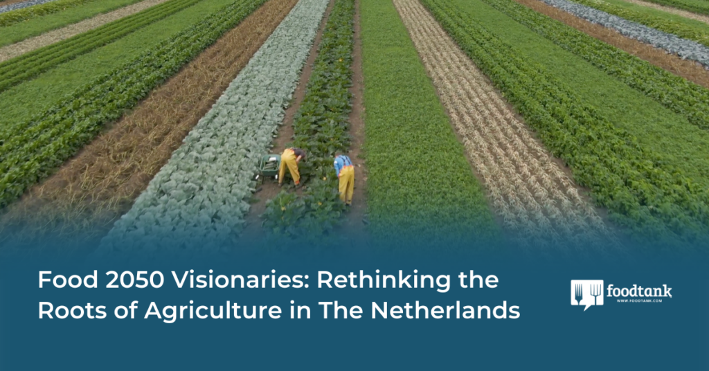 Rethinking the Roots of Agriculture in The Netherlands – Food Tank