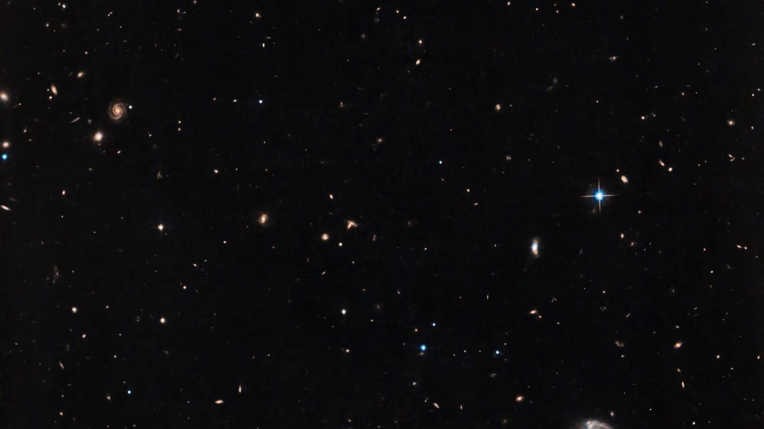 What is the beehive cluster? When, how to see swarm of stars in January