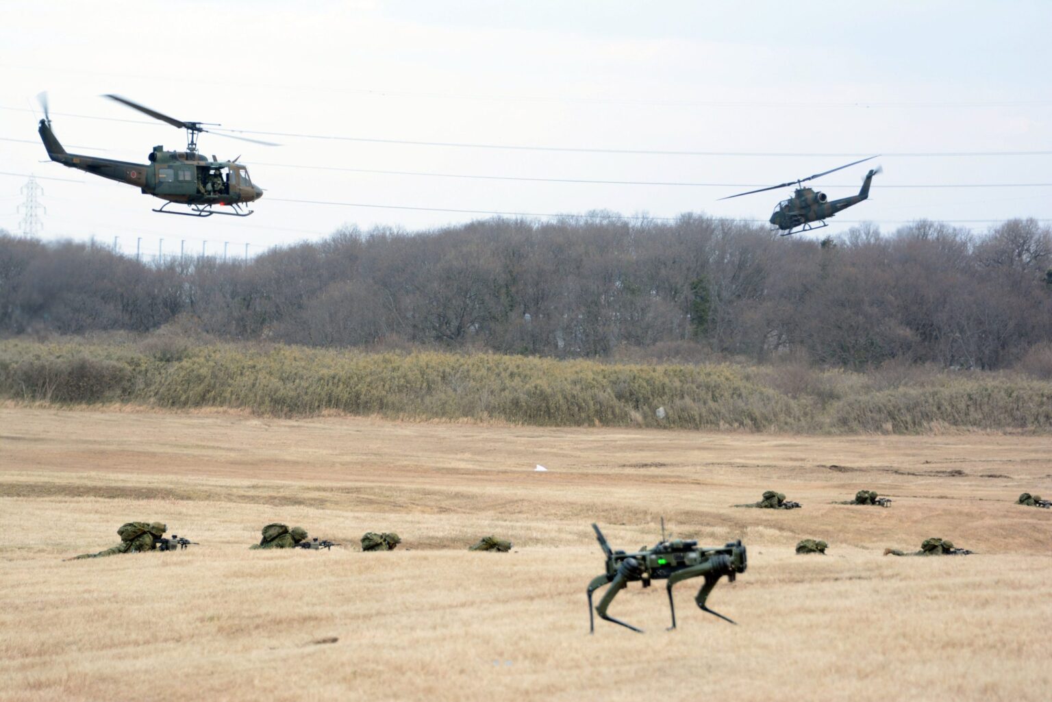 Robot dog unmanned ground vehicle moves across an open training field during a military exercise, with soldiers prone on the ground and two helicopters flying low overhead in the background