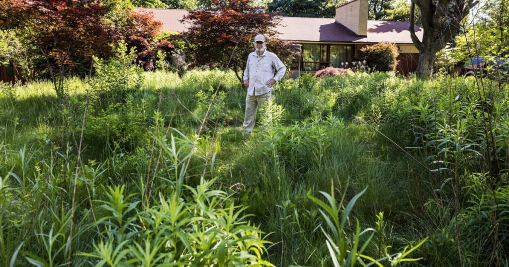 Mississauga bylaw governing tall grass violates freedom of expression rights, court rules