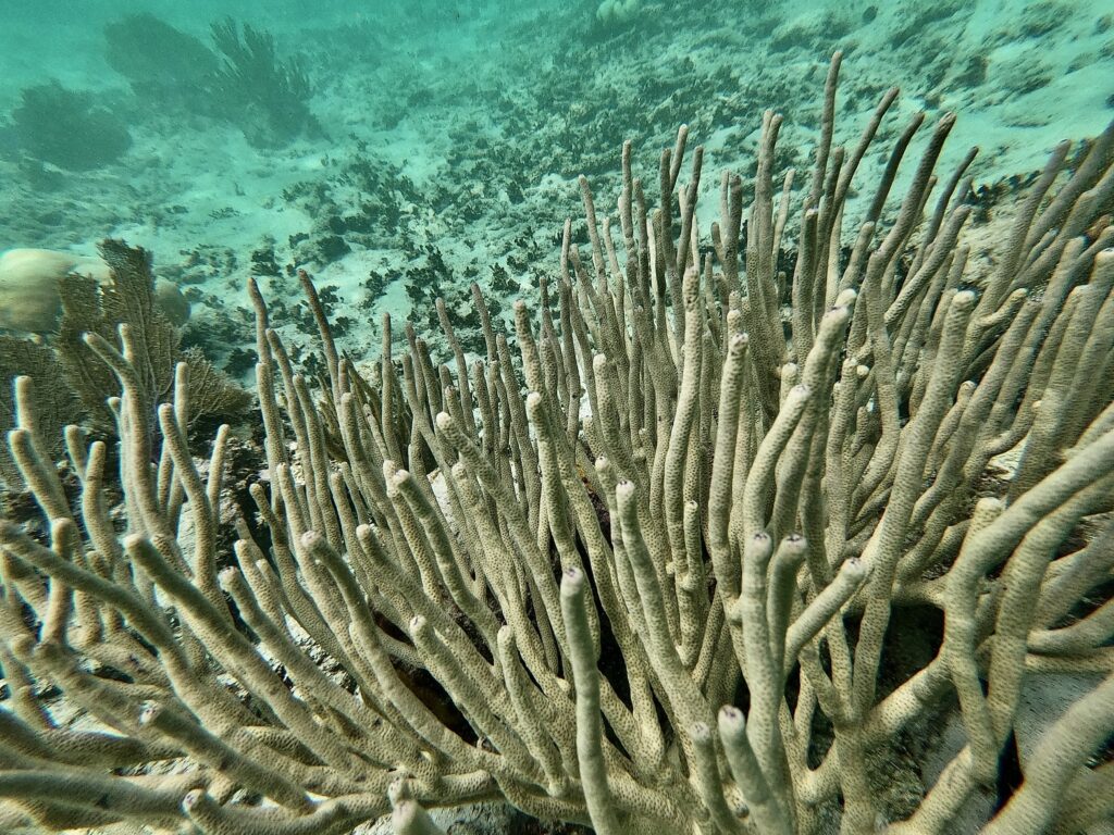 Scientists Push for More Ambitious Climate Targets