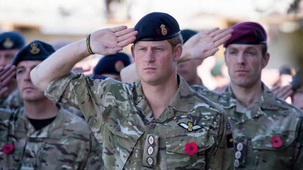 Prince Harry, who served  in Afghanistan, says sacrifices of British troops deserve 'respect' after Trump comments