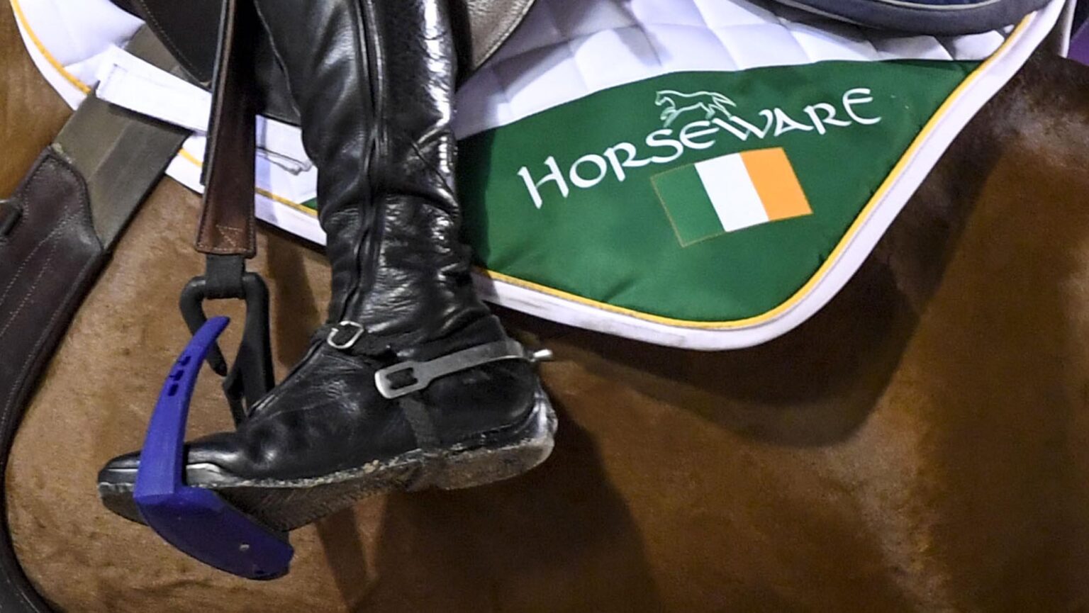 Irish showjumper Thomas Ryan to ride for Sweden